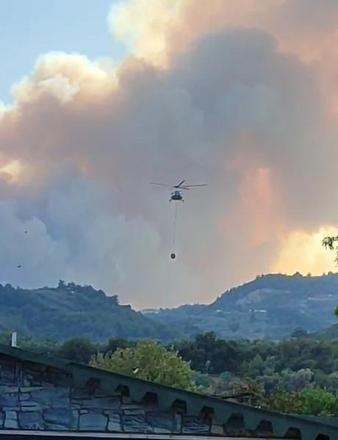 Bursa’da çıkan orman yangını kontrol altında