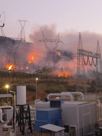 Bandırmada zeytinliklere sıçrayan yangın kontrol altında