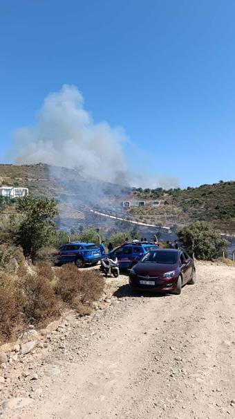 Bodrumda otluk ve makilik alanda yangın