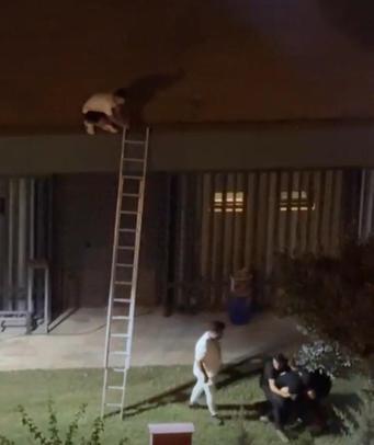 Konseri izlemek için çıktığı çatıdan atıldı, savcılık soruşturma başlattı