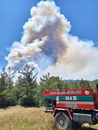 Sakaryada çıkıp Bilecike sıçrayan orman yangını 2nci gününde