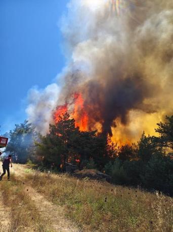 Sakaryada çıkıp Bilecike sıçrayan orman yangını 2nci gününde