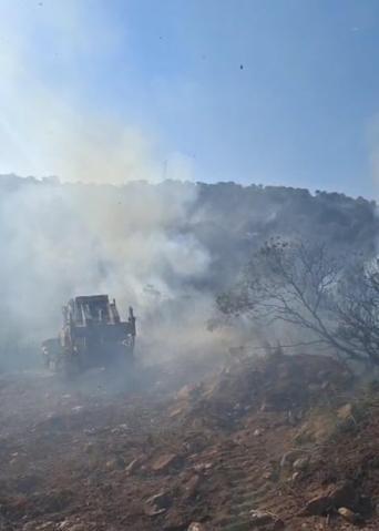 Balıkesirde orman yangını