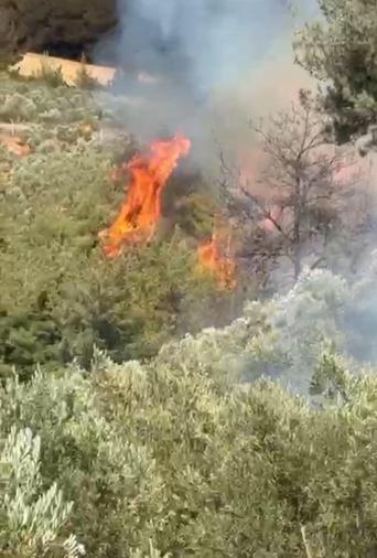 Osmaniyede orman yangını kontrol altında