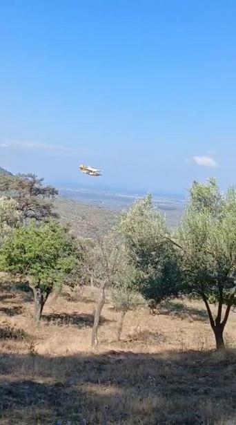 Balıkesirdeki orman yangını 24 saatte kontrol altına alındı