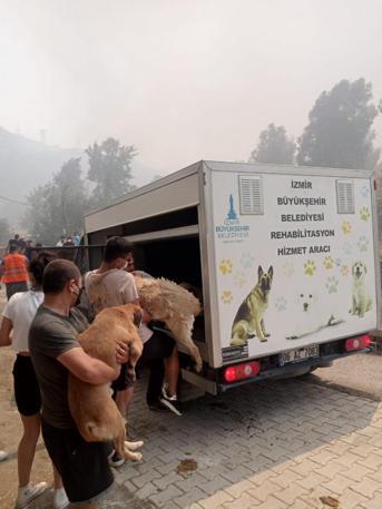 Karşıyakadaki orman yangını; 87 ev boşaltıldı, 16 ev yandı