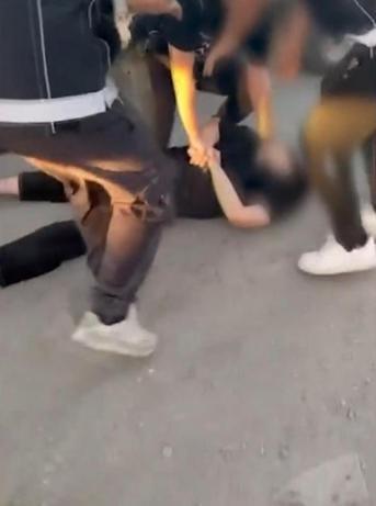 Zeytinburnunda uyuşturucu operasyonu; 83 kilogram skunk ele geçirildi
