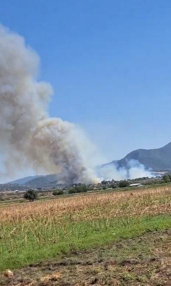 Osmaniyede orman yangını kontrol altında