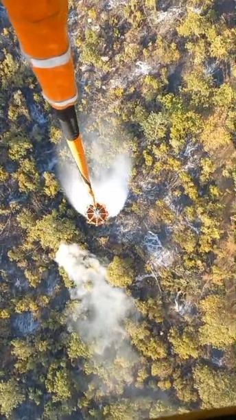 Şırnakta orman yangını