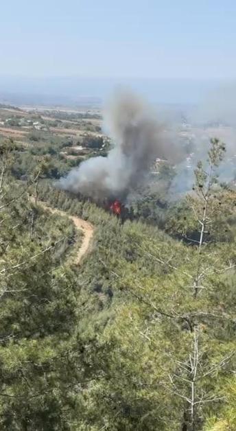 Osmaniyede orman yangını kontrol altında