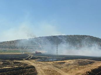 Anız yangınında alevler ormana sıçradı