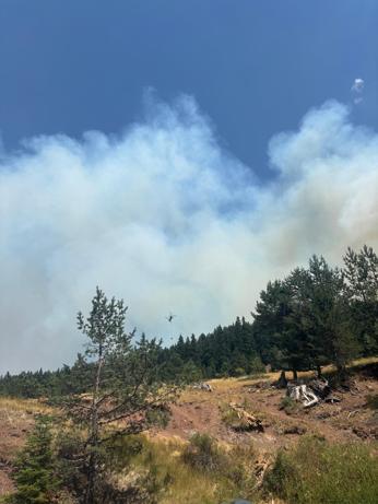 Çankırıda çıkan orman yangını kısmen kontrol altına alındı
