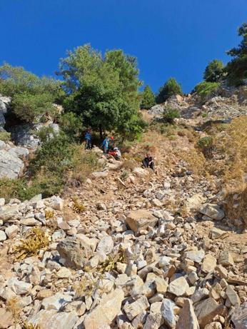 Uçuruma düşen arıcı ağır yaralandı