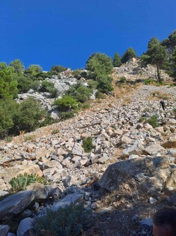 Uçuruma düşen arıcı ağır yaralandı