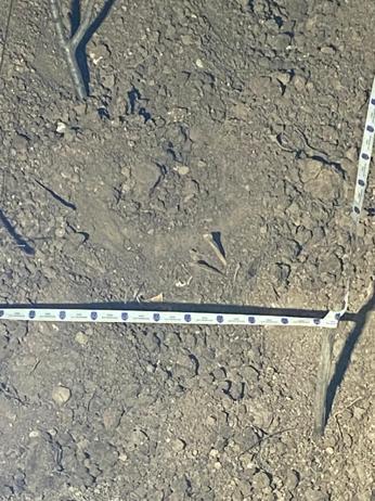 19 yıl sonra öldürüldükleri ortala çıkan kız kardeşlerin cinayet sanıklarına ağırlaştırılmış müebbet