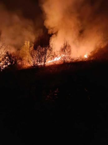 5 saatte söndürülen yangında 150 dönüm orman yandı