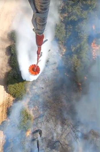 İzmir Aliağada orman yangını