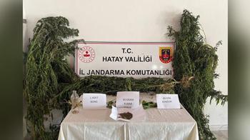 Hatay’da uyuşturucu operasyonlarında 23 gözaltı