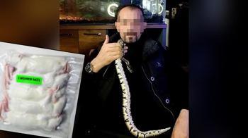 Evinde 2 kraliyet pitonu ele geçirildi, 25 bin TL ceza kesildi