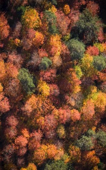 Bolu Mengen'de sonbahar güzelliği