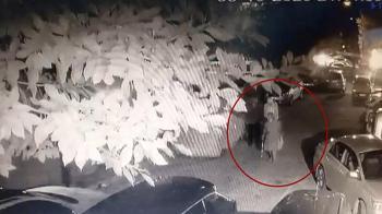 Kedinin bastonla vurularak öldürüldüğü iddiasıyla şikayetçi oldu