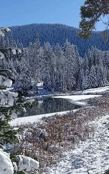 Sarıçiçek Göleti buz tuttu