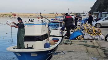 Balıkçılar, Karadeniz'de umduklarını bulamadı; hamsi dışında çeşit yok