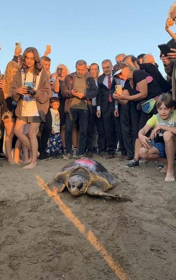Caretta caretta 'Cumhuriyet'i 9 bin kişi izledi