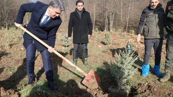 Bolu'daki yangın faciasında ölen 78 kişi için hatıra ormanı
