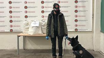 Kapıkule'de otomobilde 22 kilo esrar ele geçirildi