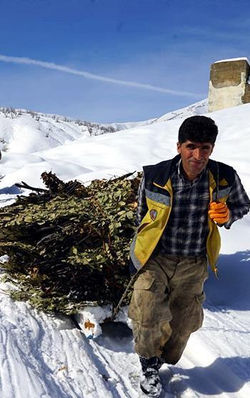 Hakkari’de besiciler karda kızakla hayvanlarına ot taşıyor