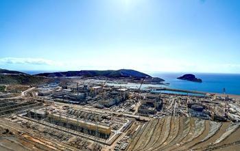 Rosatom Genel Müdürü Likhachev: Bu yıl hedefimiz ilk elektriğe giden tüm prosedürleri tamamlamak