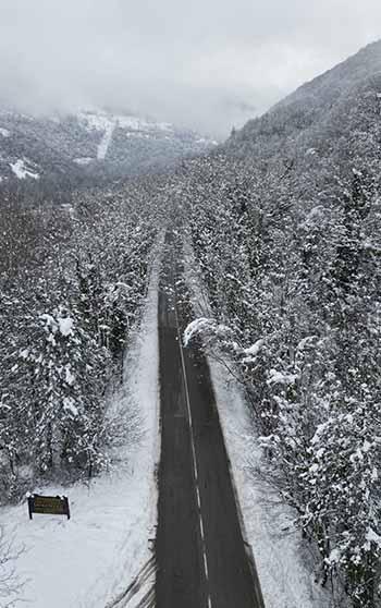 'Ağaç tünel yol'da, kar yağışı sonrası ortaya çıkan manzara görüntülendi