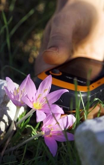 GPS verileri incelendi; orkidelerde kaçak söküm alarmı