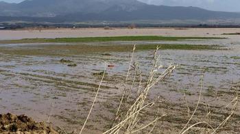 Irlamaz Çayı taştı, Turgutlu Ovası su altında kaldı