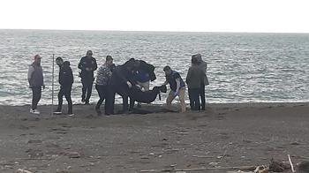 Muğla’da sahilde erkek cesedi bulundu