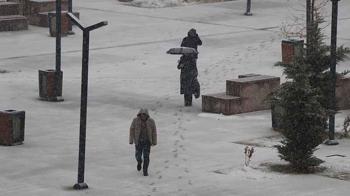 Van'da kar ve sis etkili oldu; 141 yerleşim yerine ulaşım sağlanamıyor