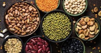 ‘Bitkisel protein kaynakları bağırsak sağlığı ve metabolik dengeyi destekliyor’