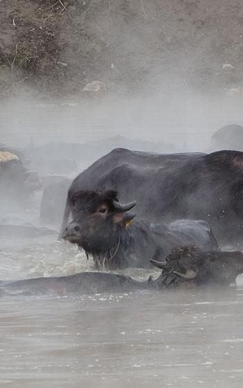 Budaklı Kaplıcası fotoğrafçıların ilgi odağı oldu