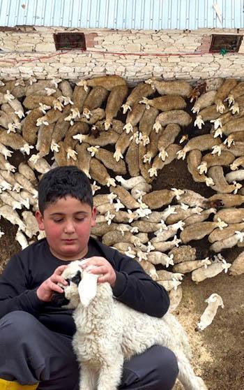 Malatya'da kuzular anneleri ile buluştu