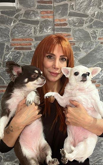 Obez ikiz köpekler, spor ve pilatesle zayıflıyor