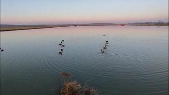 Edirne’de yasa dışı avlanan 4 avcıya 762 bin lira ceza