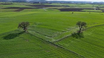 Edirne'de yağışların ardından doğru tarım uygulamalarıyla yüksek rekolte bekleniyor