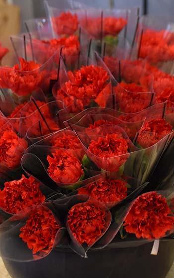 '8 Mart'ta kırmızı karanfil yoğun talep görüyor'