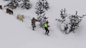 Karda mahsur kalan hayvanları köyün gençleri kurtardı