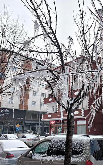 Kars'ta ağaçlar buz tuttu