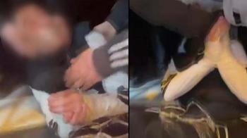Fatih’te elleri ve ayakları bantlanan çocuk akranları tarafından darbedildi; 7 gözaltı