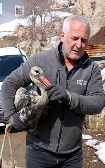 Donmak üzereyken bulduğu leyleği, 2,5 aylık bakım sonrası doğaya bıraktı