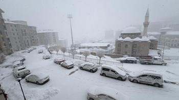 Yüksekova'da kar yağışı etkili oldu