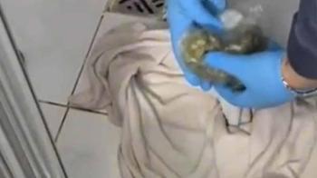 Maltepe'de uyuşturucu operasyonu: 1 tutuklama